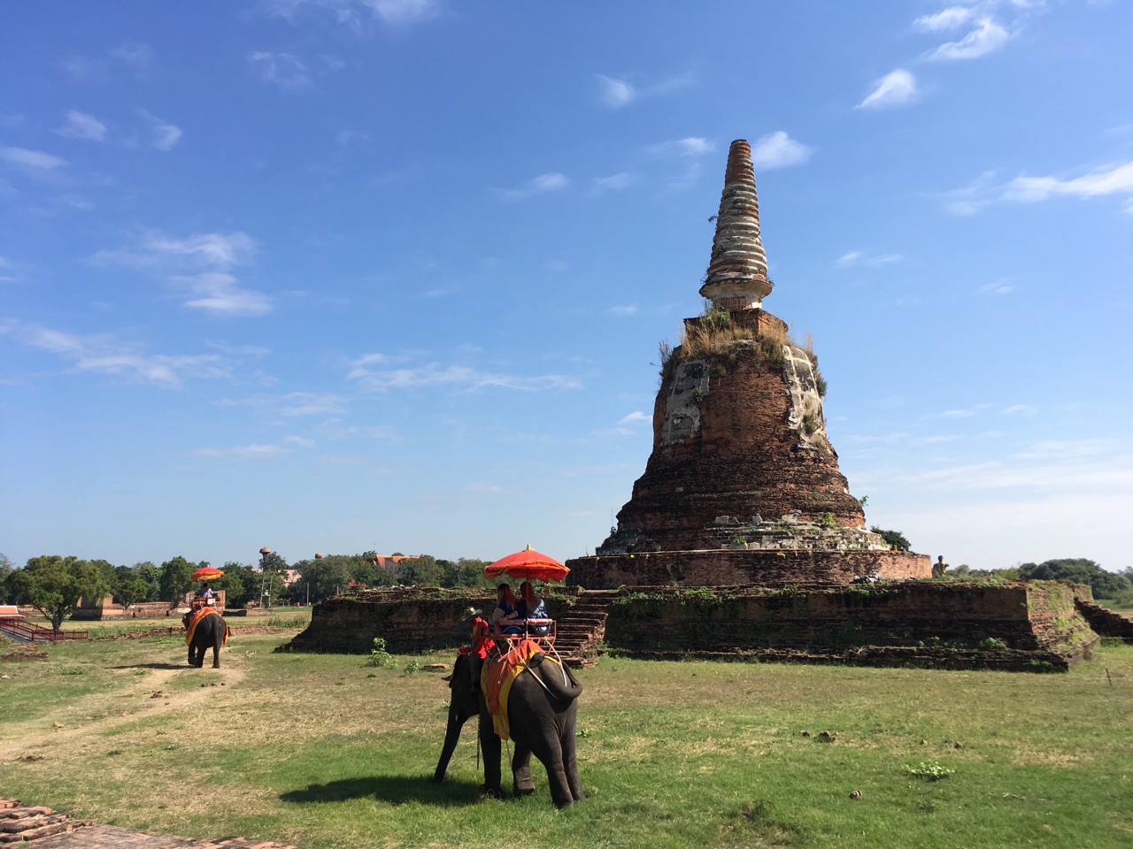 エレファントビレッジにて、象乗り体験（約10分）